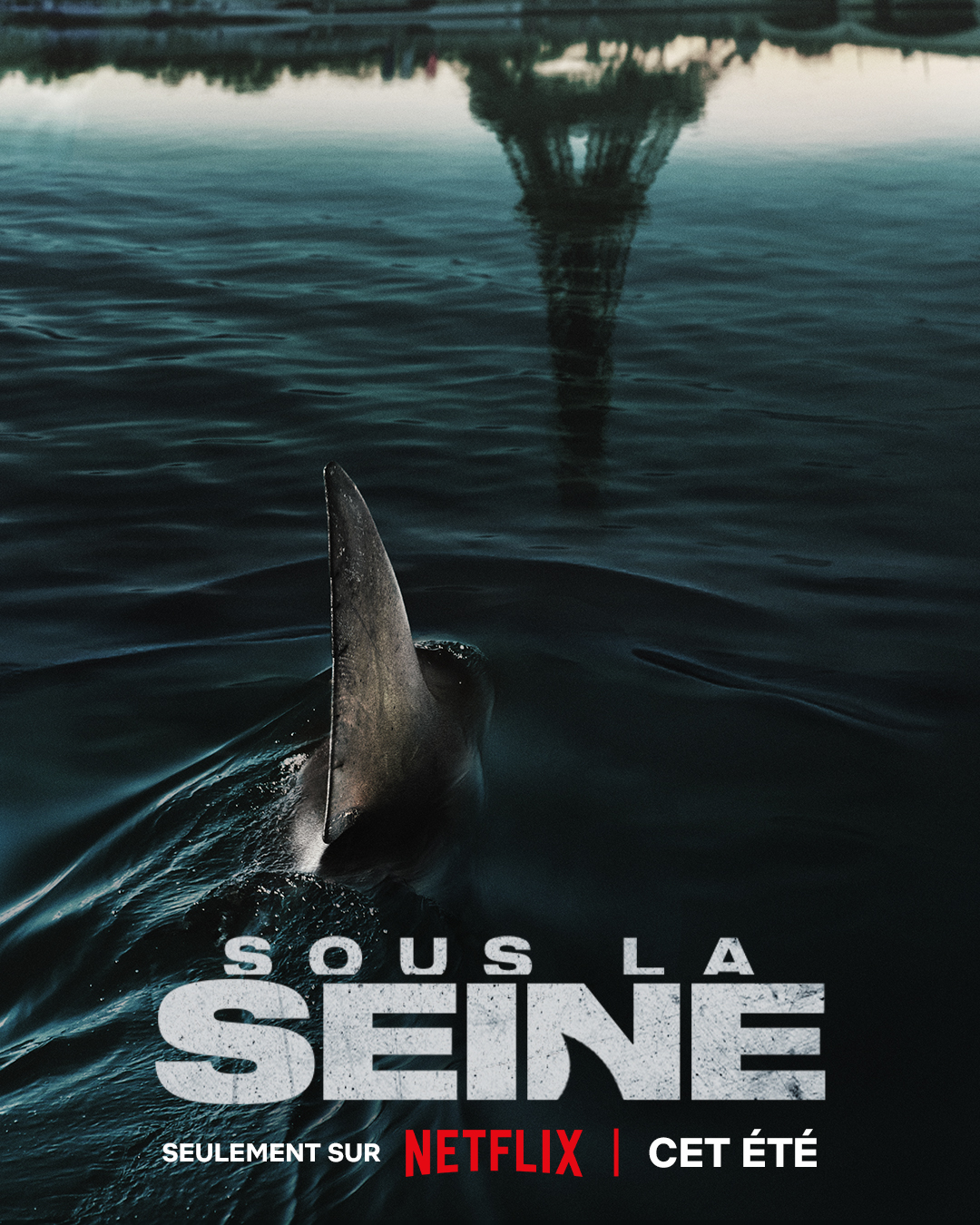 Bannière 5